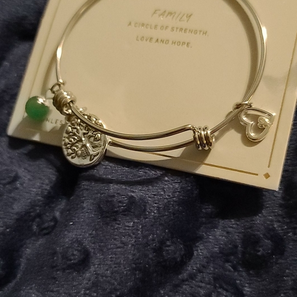 Stainless steel family expandable charm bracelet s - Picture 6 of 6